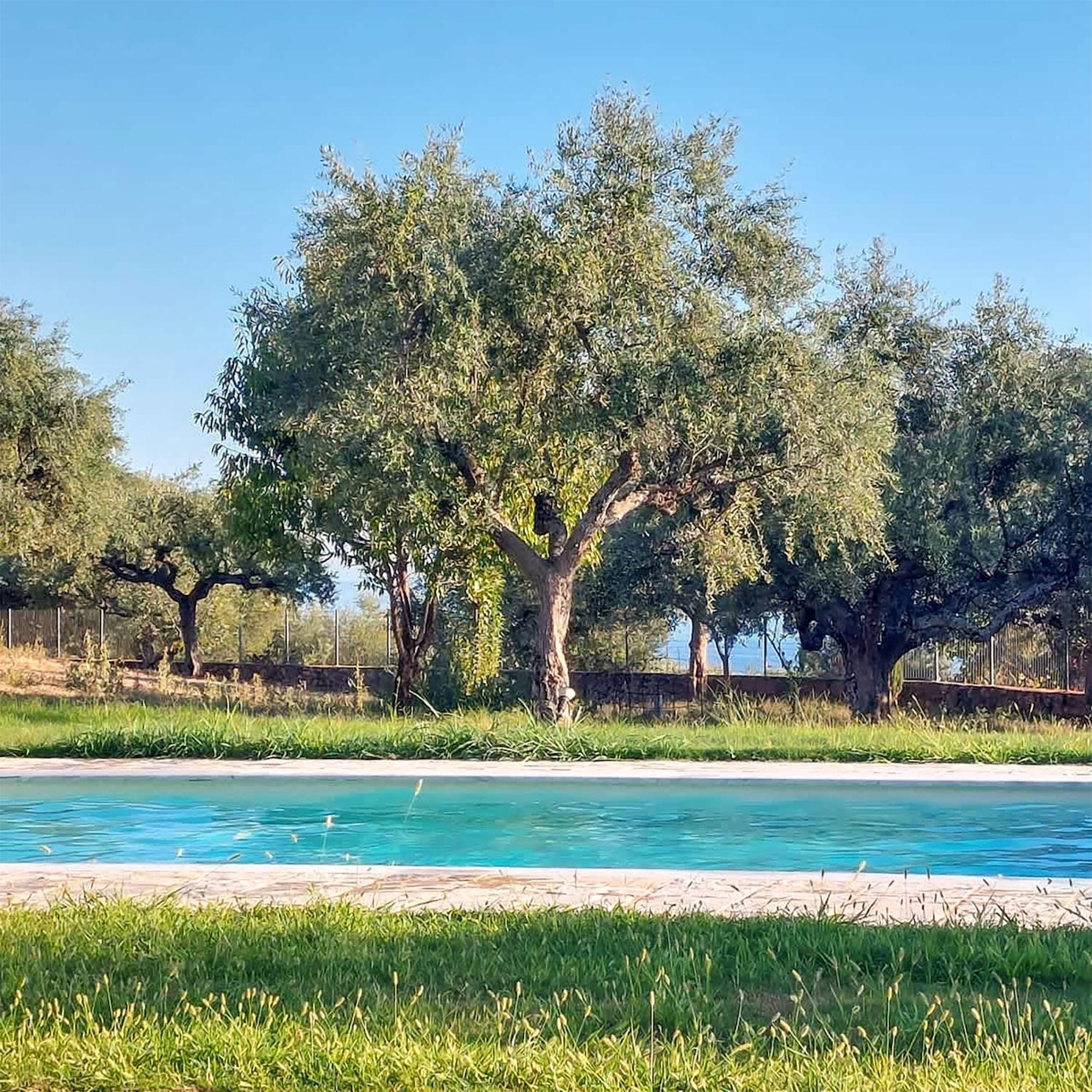 Villa Eleni - Private Pool Bliss Near Kardamili Proastion Exterior photo